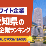 【ホワイト企業】愛知県の優良企業ランキング20選 | 基準別,探し方,文系/理系別